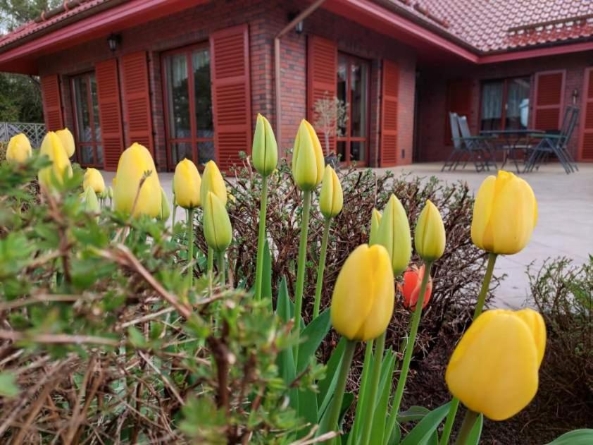 Port Jeziorak Bed & Breakfast Ilawa Luaran gambar